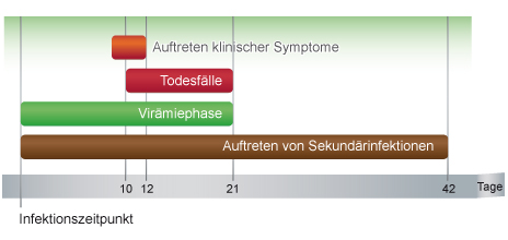 Infektionsverlauf